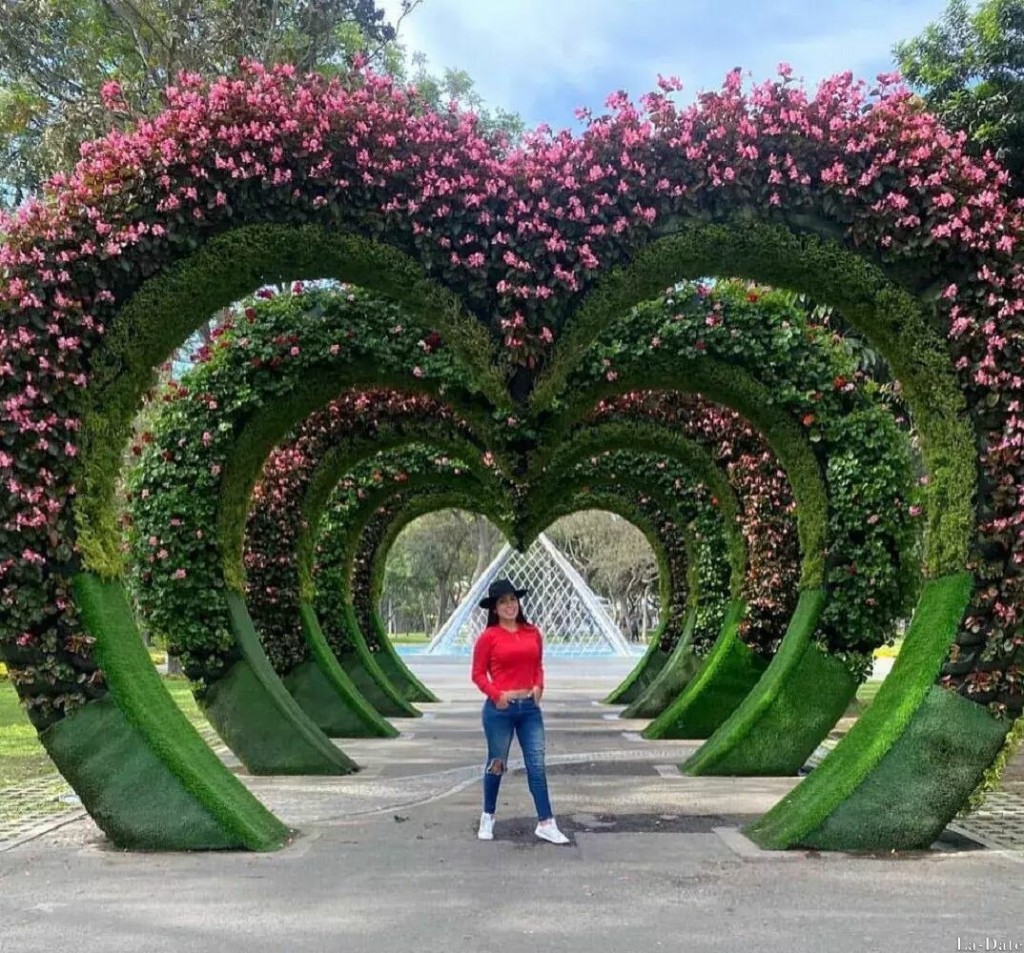 Yariani Profile image 1