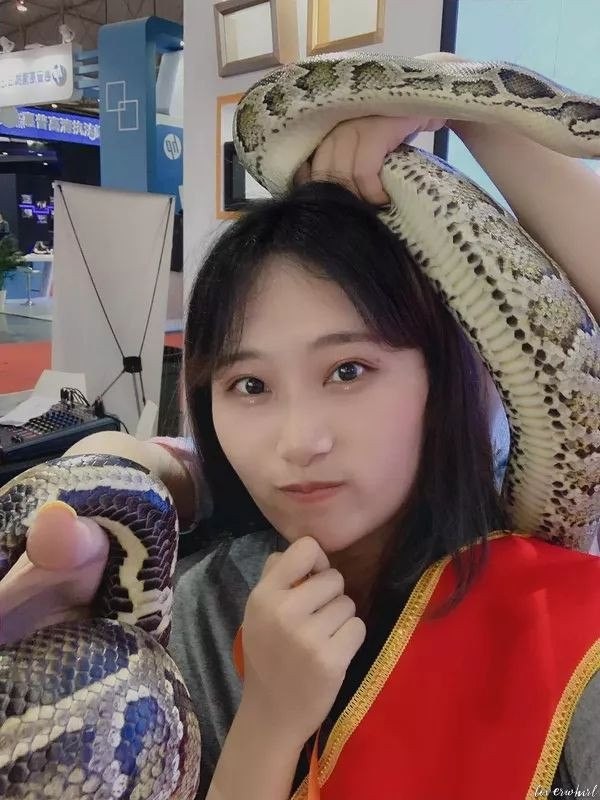 Caihong Profile image 2